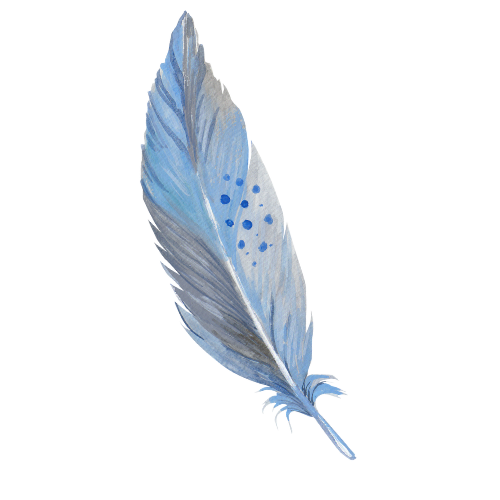 Feather